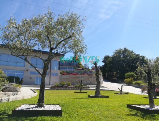Vamosensaio