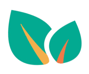 Vakanzes